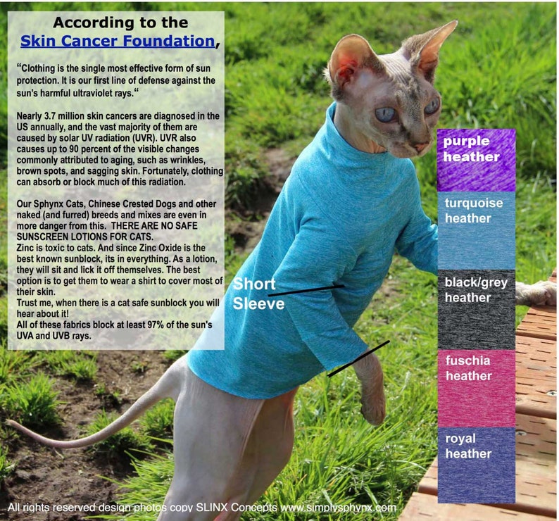 Cat Clothes Sphynx Cat Sweater Sunscreen Sphynx Clothes The Etsy