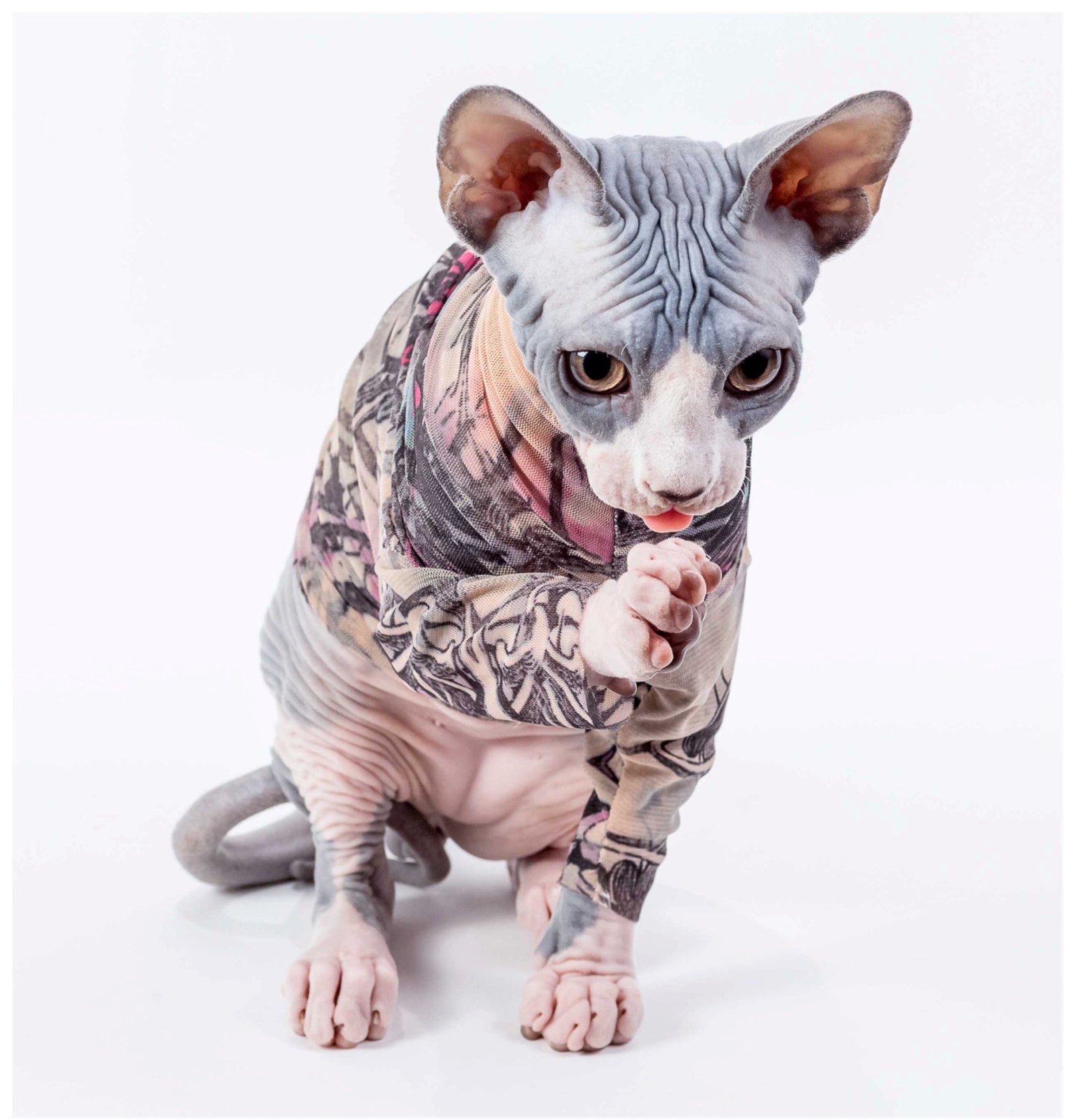 Sphynx Cat Clothes Purple Butterfly Tattcat™ Long Sleeved Etsy