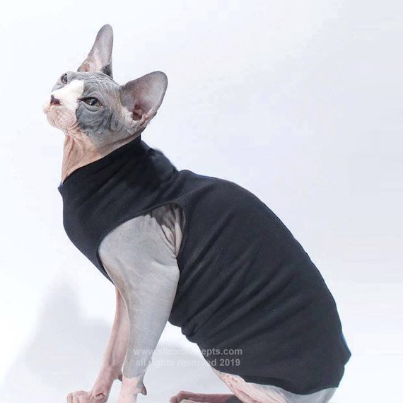 Sphynx Cat Color Chart