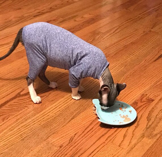 Cat Clothes Sphynx Cat Sweater Sunscreen Sphynx Clothes The Etsy