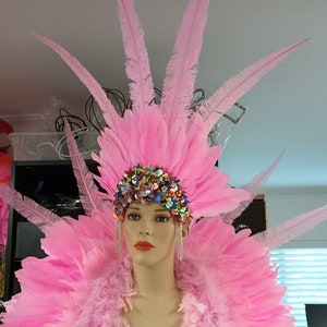 Feather Costume Made in USA Collar,headdress and arm pieces. Feather costume Piece Samba Hora