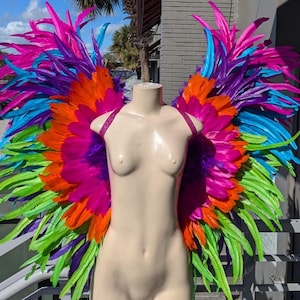 Carnival Costume Feather Wings Multicolor  Samba Costume Angel Wings Fantasy Fest Carnival Showgirl Set Hora Loca