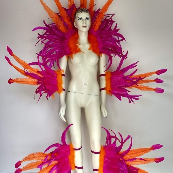 Feather Costume Made in USA Collar,headdress and arm pieces. Feather costume Piece Samba Hora
