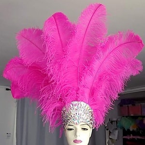 May include: A pink feather headdress with a jeweled headband. The headband is decorated with rhinestones and iridescent crystals.