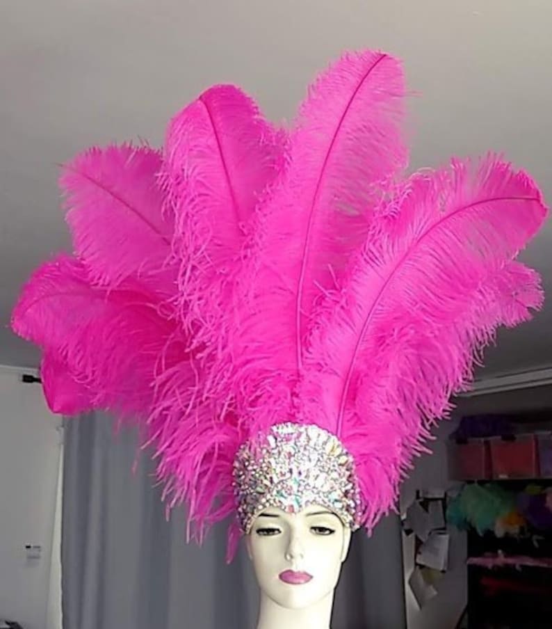 May include: A pink feather headdress with a jeweled headband. The headband is decorated with rhinestones and iridescent crystals.