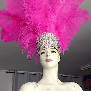 May include: A pink feather headdress with a jeweled headband. The headband is decorated with iridescent rhinestones.