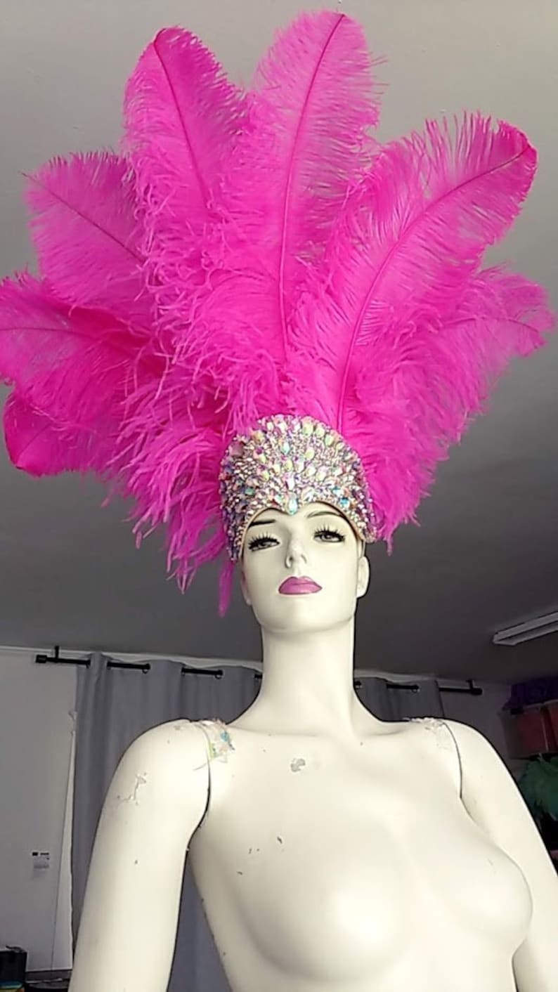 May include: A pink feather headdress with a jeweled headband. The headband is decorated with iridescent rhinestones.