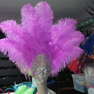 May include: A purple feather headdress with a jeweled crown. The crown is made of rhinestones and has a gold base.