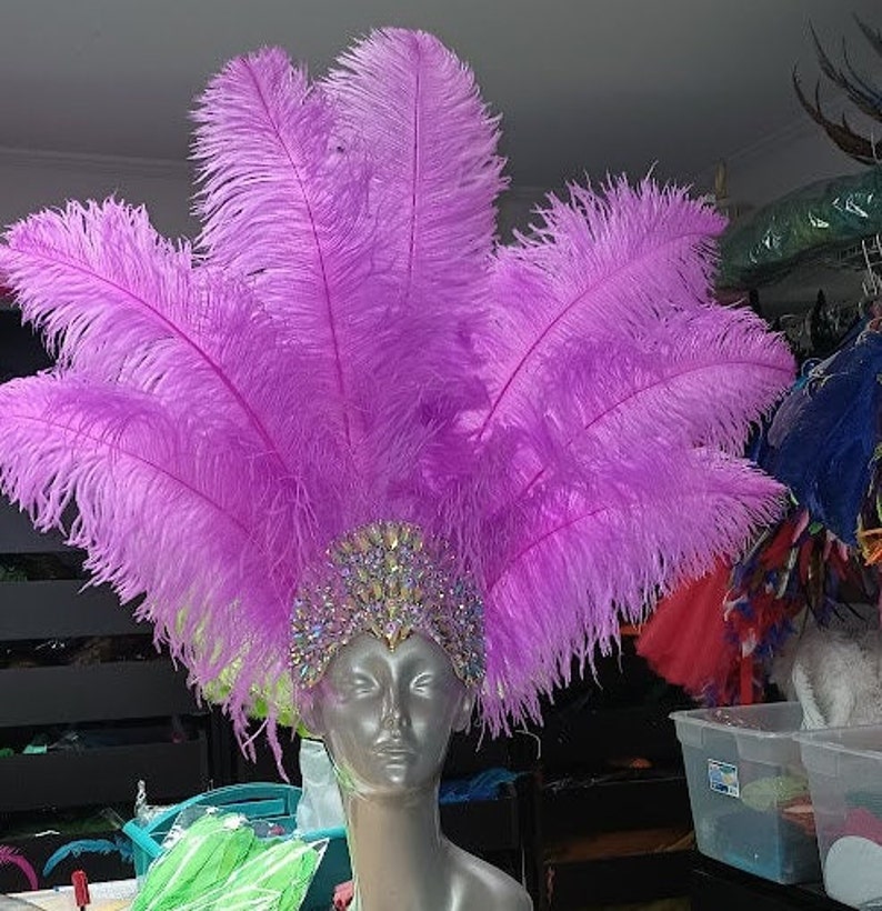 May include: A purple feather headdress with a jeweled crown. The crown is made of rhinestones and has a gold base.