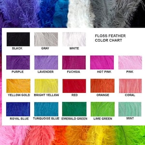 May include: Color chart showing 18 different colors of floss feathers. The colors are: black, gray, white, purple, lavender, fuchsia, hot pink, pink, yellow gold, bright yellow, red, orange, coral, royal blue, turquoise blue, emerald green, lime green, and mint.