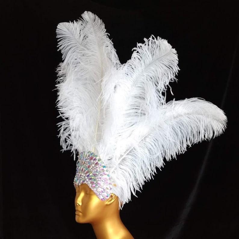 May include: A white feather headdress with a sparkling crystal headband. The feathers are long and flowing, and the headband is adorned with iridescent rhinestones.