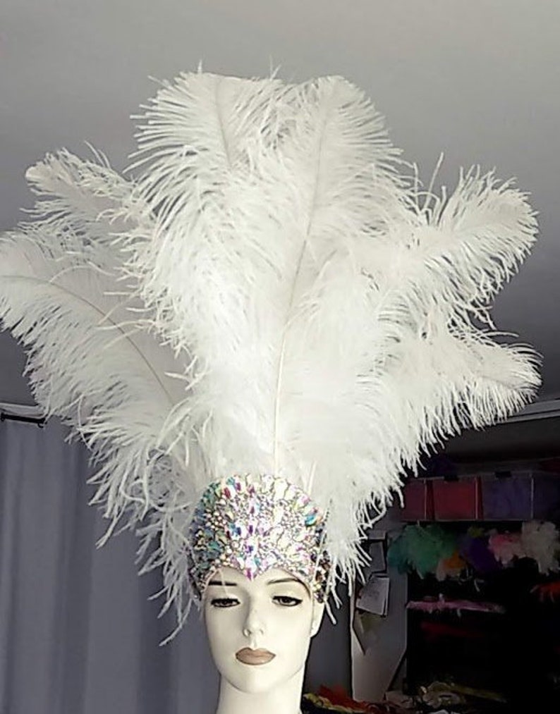 May include: A white feather headdress with a jeweled headband. The headband is decorated with iridescent rhinestones.