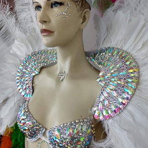 Peacock Carnival Costume Feathers Samba Costume Angel Wings