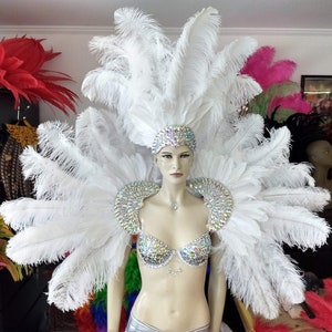 Caribbean Carnival Costume 