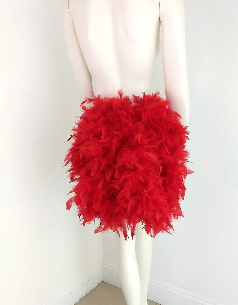 Puede incluir: Una falda de plumas rojas. La falda est&aacute; hecha de plumas esponjosas y es muy voluminosa. Es una gran opci&oacute;n para un disfraz o una fiesta.