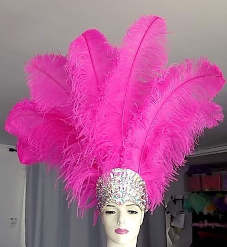 May include: A pink feather headdress with a jeweled headband. The headband is decorated with clear and iridescent rhinestones.