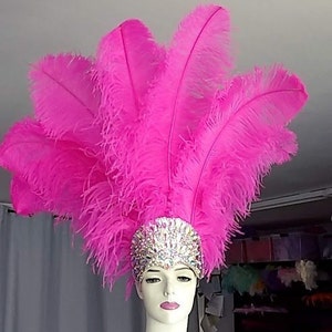 May include: A pink feather headdress with a jeweled headband. The headband is decorated with clear rhinestones.