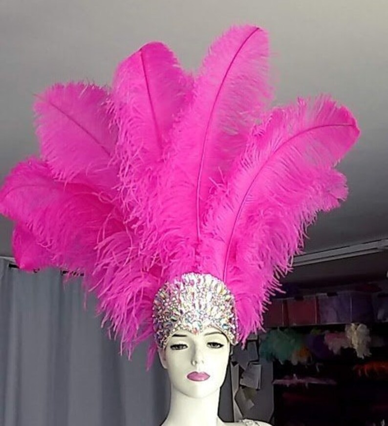 May include: A pink feather headdress with a jeweled headband. The headband is decorated with clear rhinestones.