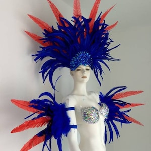 Headress Arm pieces  Samba costume carnival  Hora Loca Made in USA