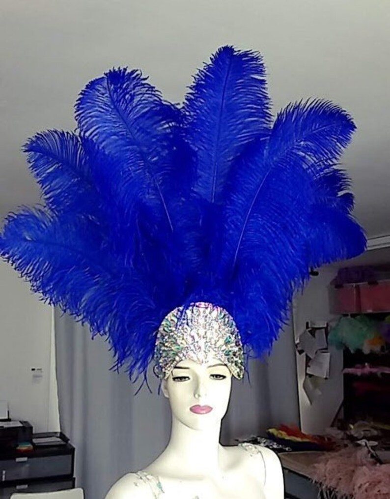 May include: A blue feather headdress with a sparkly, iridescent crown. The headdress is tall and dramatic, with many feathers arranged in a fan shape.