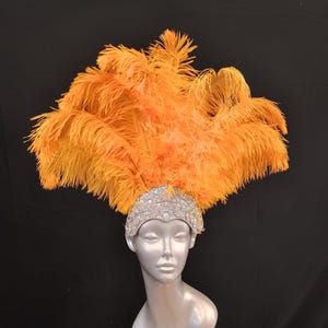 Set copricapo di piume, set di piume di struzzo, costume da showgirl, spalline, coda, abito da festival di Mardi Gras