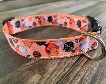 Coral Pumpkin Dog Collar, Medium & Large Adjustable Size, Fall Dog Collar, Halloween