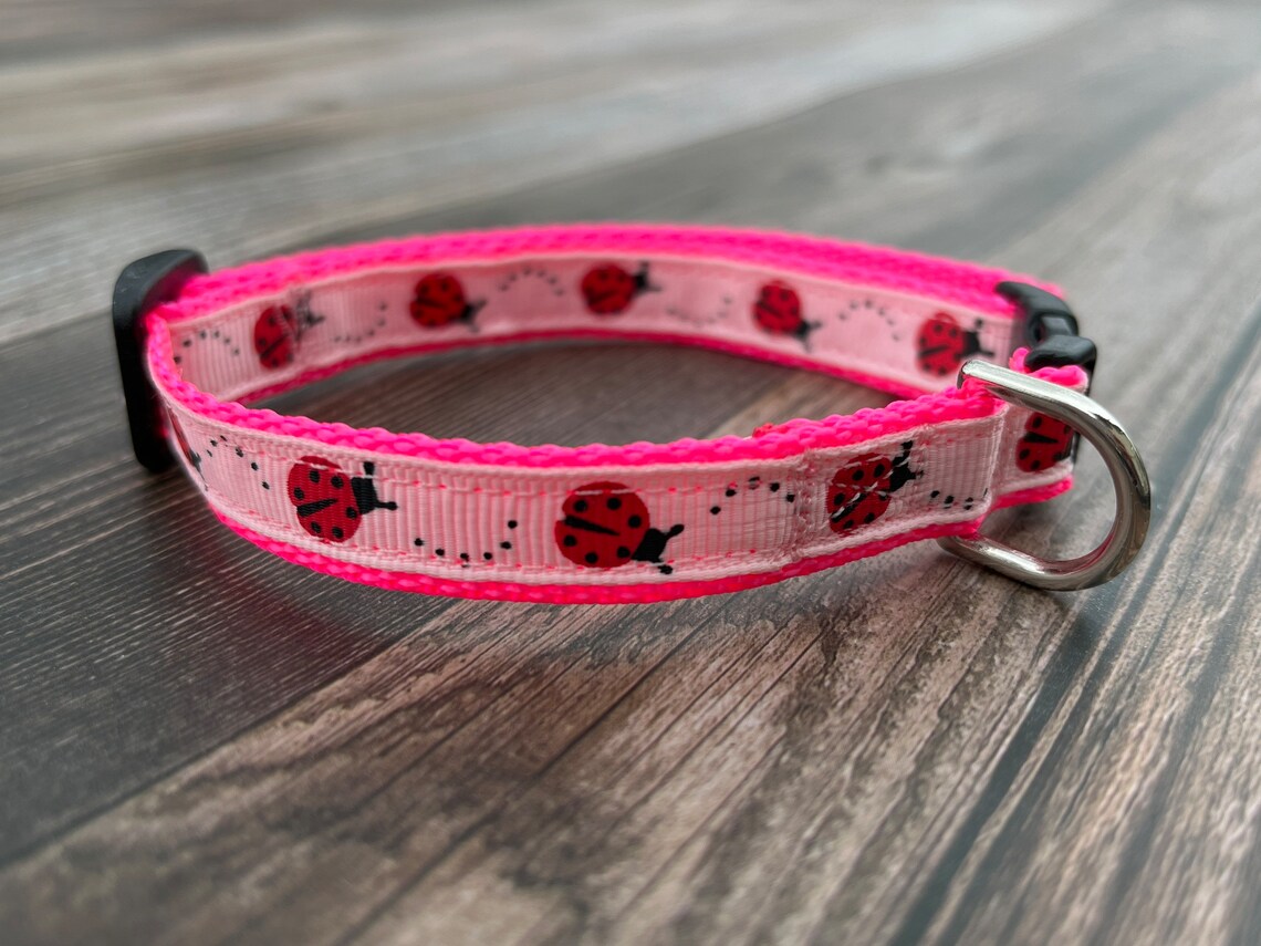 Ladybug Collar Breakaway Cat Collar Mini Teacup Dog Collar Etsy