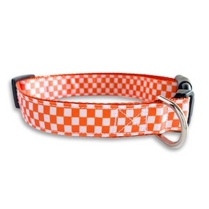 May include: Orange and white checkered dog collar with a black buckle and silver D-ring.