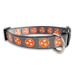 May include: A gray dog collar with a repeating pattern of orange circles containing white stars. The collar has a silver metal D-ring.