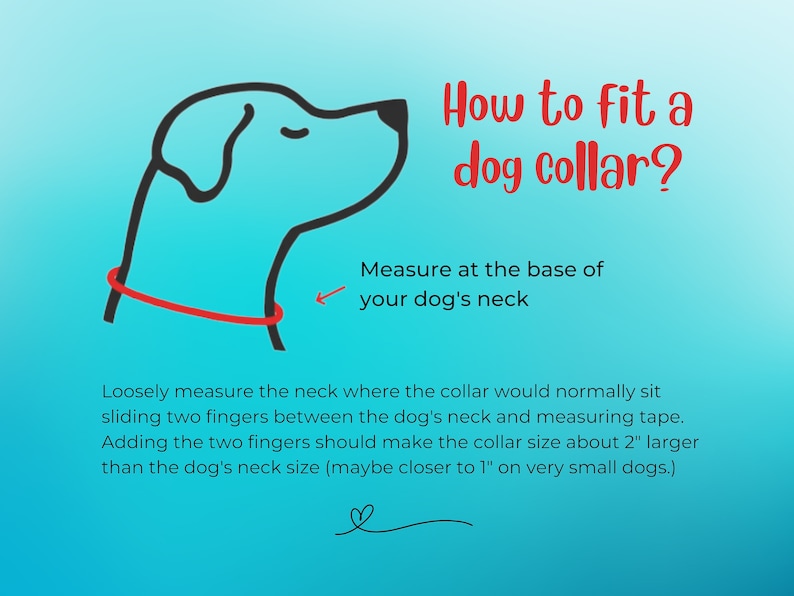 May include: Illustration of a dog with a red collar, showing how to measure for a dog collar. The text reads "How to fit a dog collar? Measure at the base of your dog's neck. Loosely measure the neck where the collar would normally sit sliding two fingers between the dog's neck and measuring tape. Adding the two fingers should make the collar size about 2" larger than the dog's neck size (maybe closer to 1" on very small dogs.)"