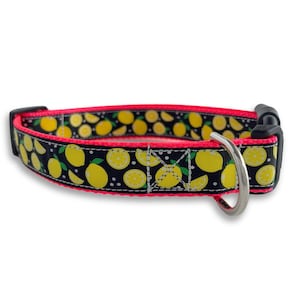 Lemon Dog Collar, Medium & Large Adjustable Size, Yellow and Pink Collar, Sweet and Sour, Cute Dog Lover Gift
