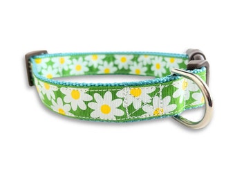 May include: Green dog collar with a white daisy pattern and a silver metal D-ring.