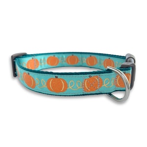 May include: A turquoise blue dog collar with a repeating pattern of orange pumpkins and gold vines. The collar has a black plastic buckle and a silver metal D-ring.