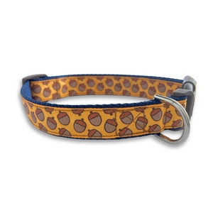 May include: A yellow dog collar with a navy blue trim and a pattern of brown acorns. The collar has a silver metal buckle and D-ring.