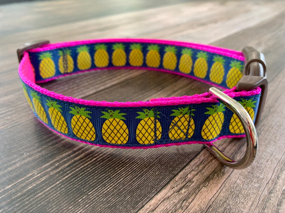Pineapple Dog Collar, Medium & Large Dog Collar, Adjustable Size