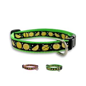 Lemon Collar, Breakaway Cat Collar, Mini Teacup Dog Collar, Lightweight Tiny Pet Collar, Cute Cat Collar, Cute Dog Collar