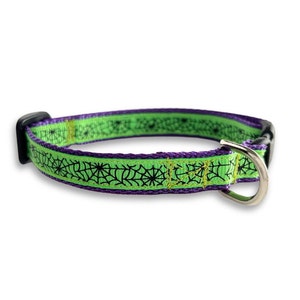 Może przedstawiać: Zielony i fioletowy obroża dla psa z czarnym wzorem pajęczyny.