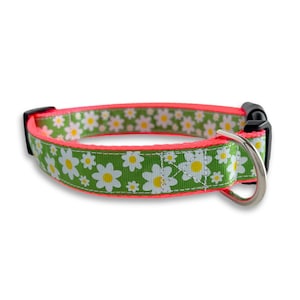 Colorful Green Daisy Dog Collar, Adjustable Size, Floral Dog Collar, Pink, Summer Dog Collar, Cute Dog Lover Gift, Dog Collar Girl