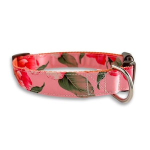 Pink Flower Dog Collar, Medium & Large Dog Collar, Spring Floral Collar, Dog Collar Girl