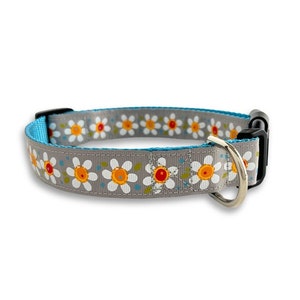 Daisy Dog Collar, Medium & Large Adjustable Size, Gray and Blue Floral Dog Collar