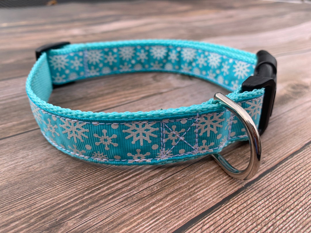 Snowflake Dog Collar, Medium & Large Adjustable Size, Turquoise
