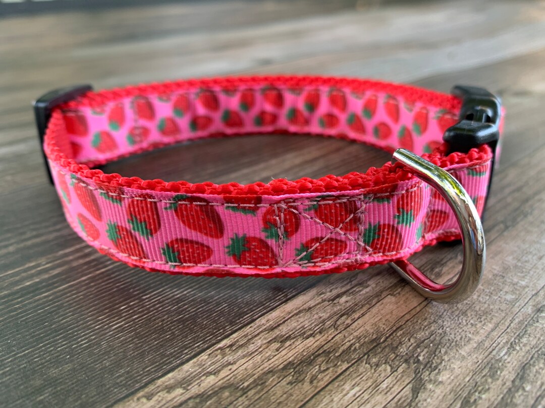 Strawberry Dog Collar, Medium Dog Collar, Adjustable Size, Red and Pink