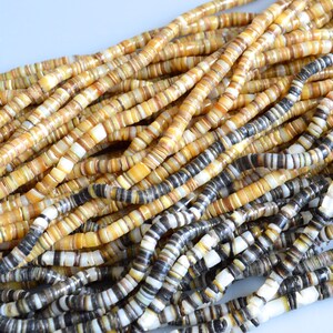 May include: A strand of multi-colored shell beads. The beads are round and have a natural, organic look. They are a mix of white, brown, and black.