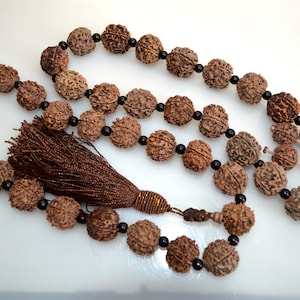Cor Natural JinGang Bothi Seeds Beads Tamanho Aprox. 18-20mm #W17