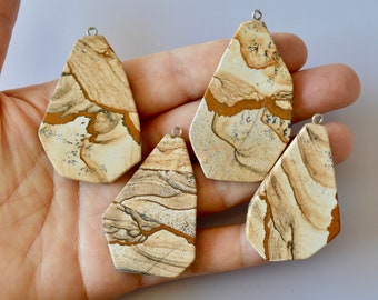 Picture Jasper Gemstone Pendant Natural Color Freeform Shape Size Approx. 45-50x28-38x6mm  #P63-2