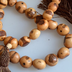 Cor natural e forma de pepita sementes bodhi contas natural bege marrom cor tamanho aprox.16-18x18-20mm # w13