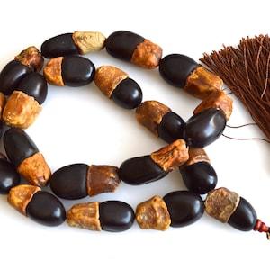 Cor e formato naturais do colar de sementes Bodihi Tamanho aprox. 30x18mm 26 polegadas #W06