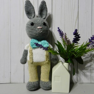 Crochet Bunny, Crochet Rabbit, Bunny Amigurumi, Custom Crochet Stuffed Animal, Custom Crochet Bunny Doll, Bunny Easter Gift