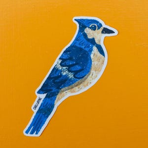 Blue Jay bird sticker