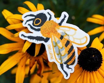 Die Cut Bee Sticker - Indoor/Outdoor Use